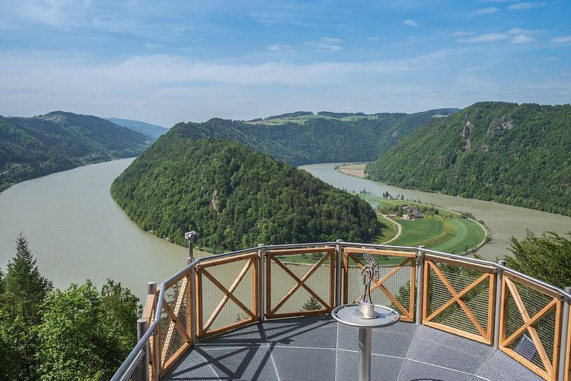 Aussicht auf die Schlögener Schlinge in Österreich von Animaflora PicsStock