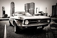 Ford Mustang à Rotterdam