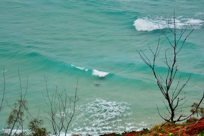 Manta's by Chiara Zwerver