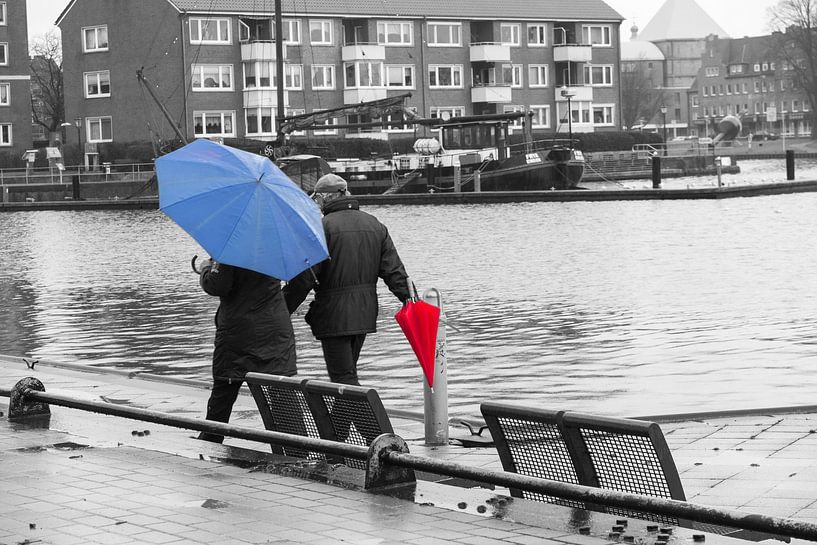 Kleurrijk in de regen van Rolf Pötsch