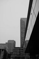 Architecture | The Hague | New Babylon