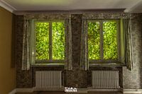 La nature prend le dessus.