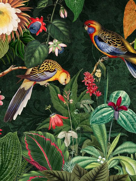 Vintage Midnight Tropischer Dschungel mit exotischen Vögeln 2 von Floral Abstractions