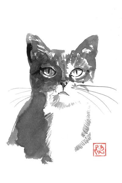 mokka cat par Péchane Sumie