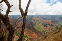 Waimea Canyon, Kauai, Hawaii