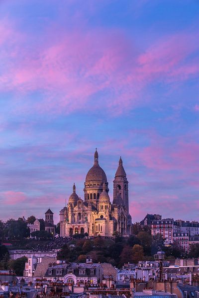 Pink by Charles Moulin