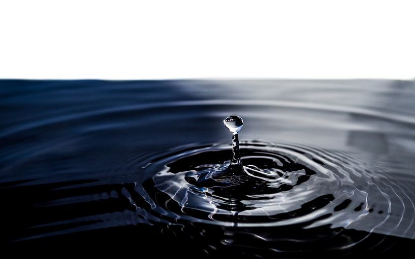 Lâcher sur une tige par Stijn Cleynhens