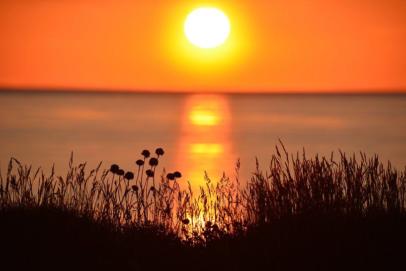 Sunset on Danish coast, orange sky by My Footprints