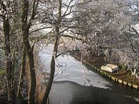 Bootje uit de vaart door ijsgang