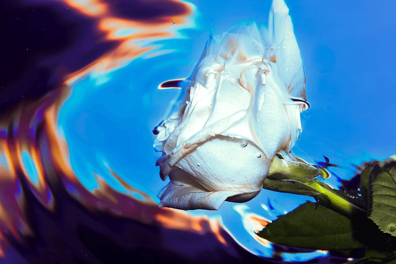 ART SOUS-MARIN par LISA DC