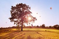 Ich glaube, ich kann fliegen