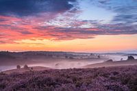 Lever de soleil spectaculaire depuis le Zijpenberg avec une vue sur la Posbank.