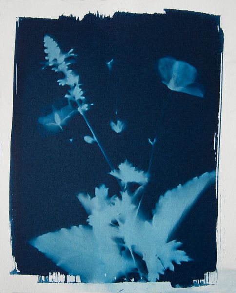 Verträumt von Greetje Heemskerk