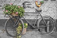 Old transport bike with cock