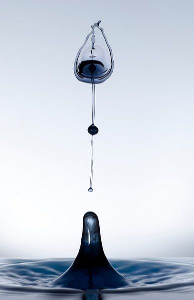 Zwarte druppel in een tulp vorm2 by Focco van Eek