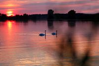 Gemeinsam können wir es mit der Welt aufnehmen