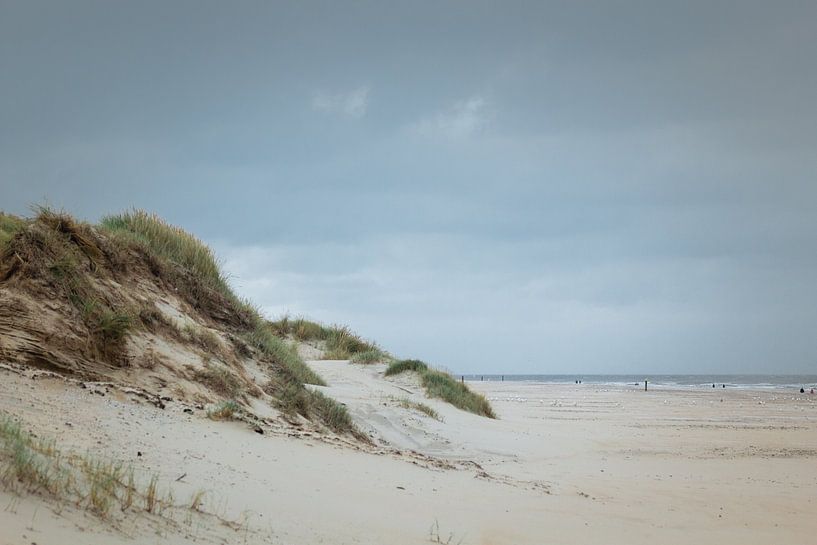 Texel Dunes by Talitha van den Brink