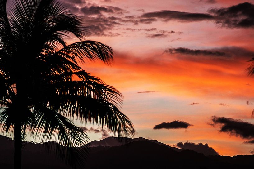 Soft Sunset II by Walljar