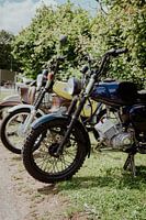 Klassische Duite-Mopeds