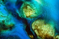 Photographic painting (5)