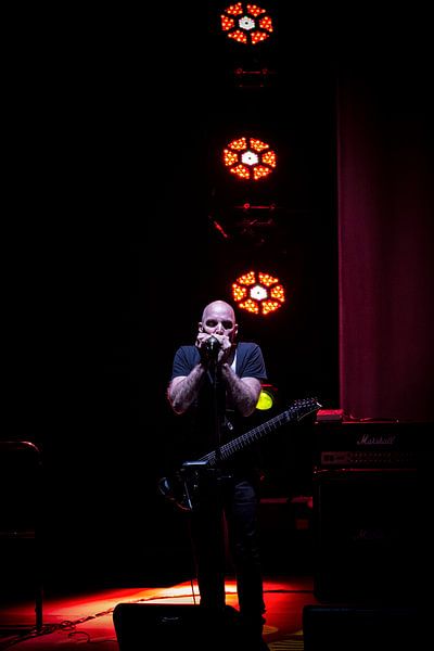 Joe Satriani par Don Fonzarelli