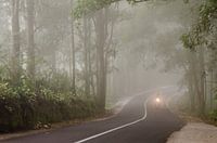 Motorbike in the mist, Bali