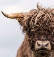 Portrait of a Scottish Highlander