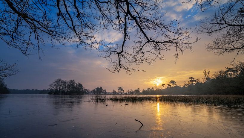 Leersumse Veld von Sander Peters