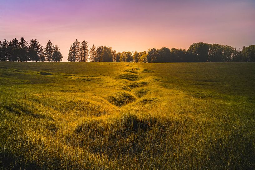 Wellington Trench -  Beaumont-Hamel Newfoundland Memorial by rosstek ®