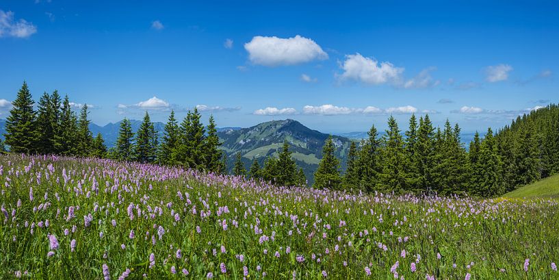 Wertacher Hörnle by Walter G. Allgöwer