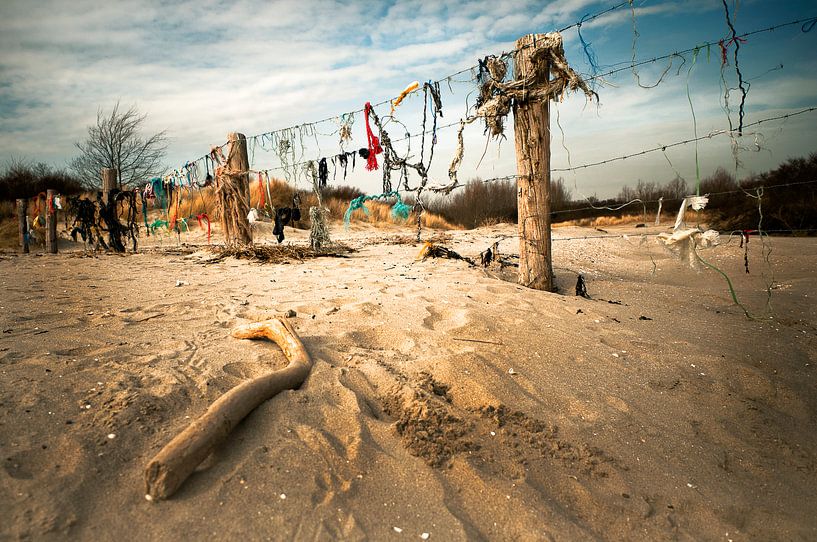 networks by Sonja Pixels