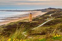 In den Dünen von Dishoek