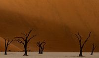 Deadvlei Namibie