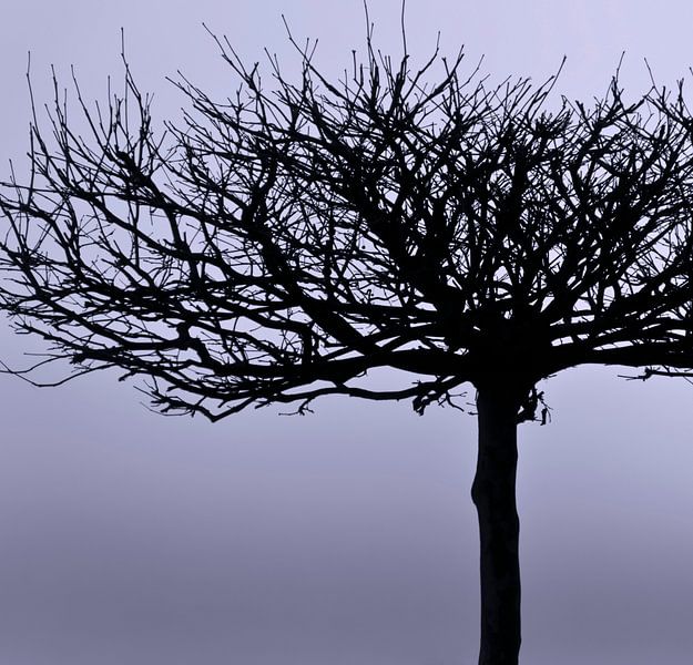 Beauté naturelle - argile grise par Kirsten Warner