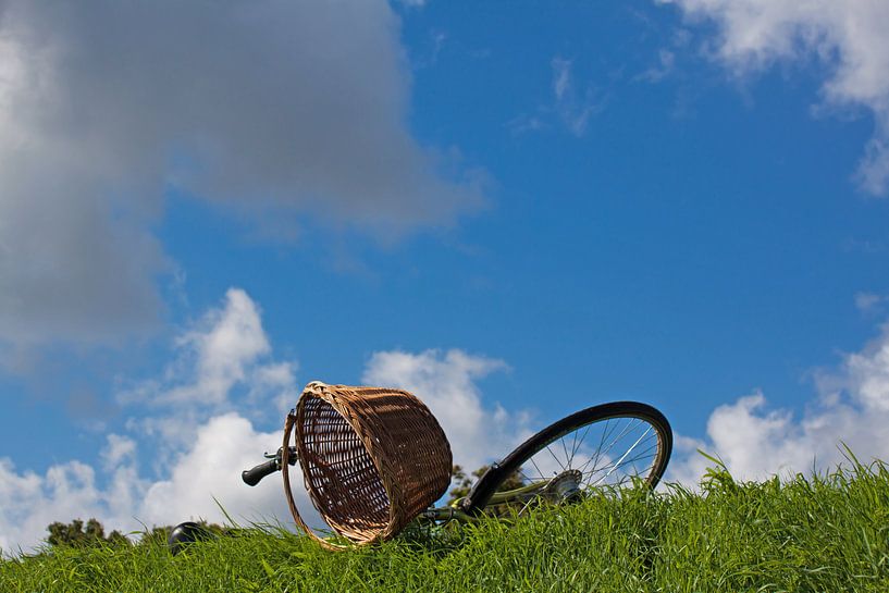 Bicycle von Irene Lommers