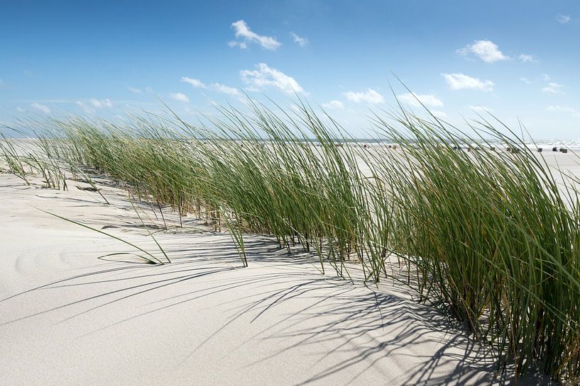 Amrum par Reiner Würz / RWFotoArt