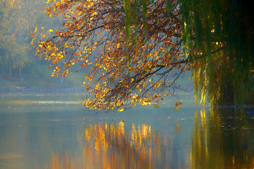 BERLIN Lietzensee - autumn reflection II by Bernd Hoyen