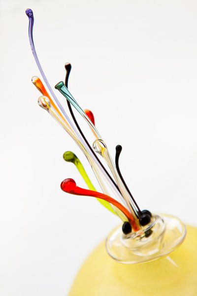 Glas kunst von Guido Akster