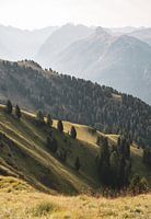 Views over the Dolomites