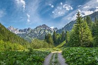 Montagnes de Tannheim