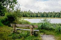 Bankje aan het water in het Mastbos in Breda