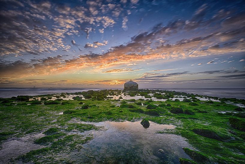 Monstre de la plage du dôme de l'Outlet par Leon Okkenburg