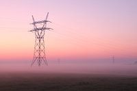 Stream mast in morning glory