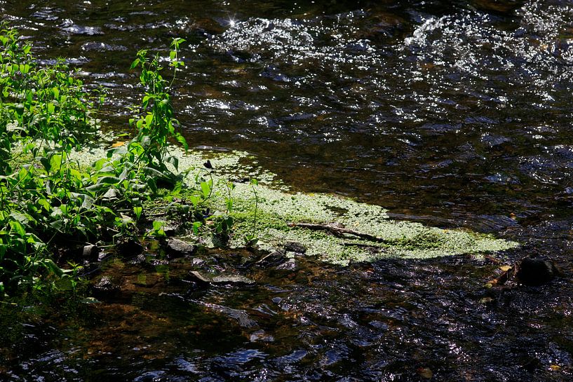 Eau par Thomas Jäger