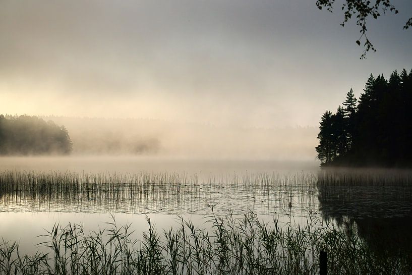 Sonnenaufgang mit Nebelbildung über einem See in Schweden, in der Morgendämmerung von Martin Köbsch