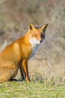 Ontspannen in het zonnetje. 