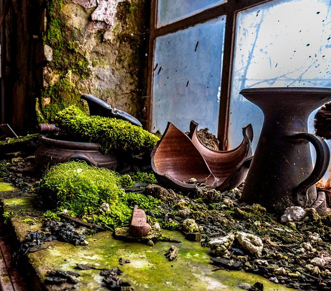 Broken crockery and moss on the window - nature conquers the lost place by Infinite Decay