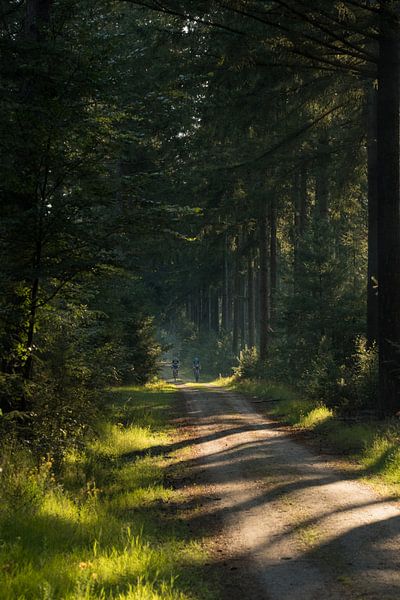 Radfahrer im Wald von Moetwil en van Dijk - Fotografie
