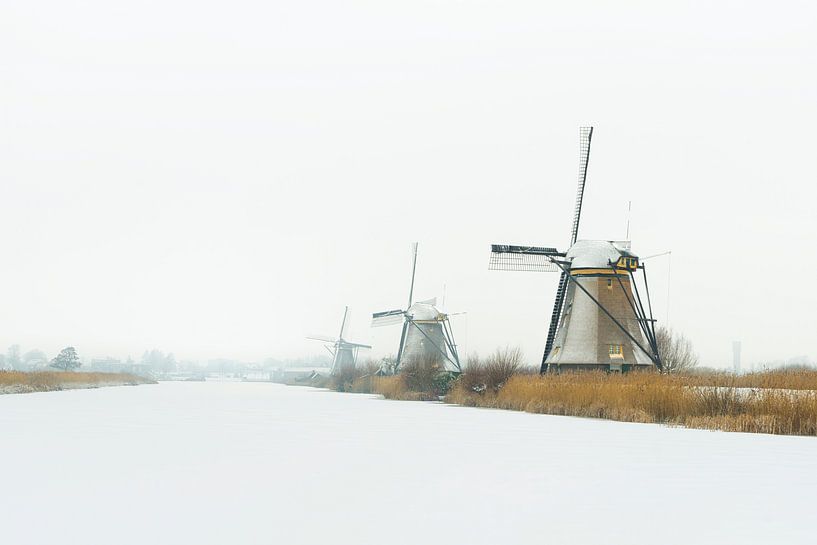 Weiße Welt von Jan Koppelaar Fotografie