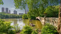 New York Central Park  Bow Bridge